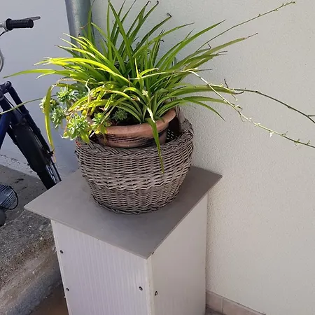 Bocin Rosso Pensión