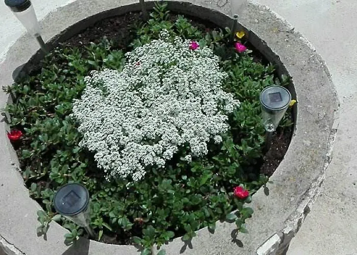 Гостьовий будинок Bocin Rosso Хвар